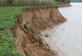 Thanh Hóa: Kỷ luật Chủ tịch, phó Chủ tịch xã vì để xảy ra tình trạng khai thác cát trái phép