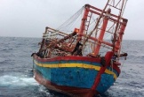 Quảng Nam: 150 ngư dân đang ở vùng nguy hiểm trên biển