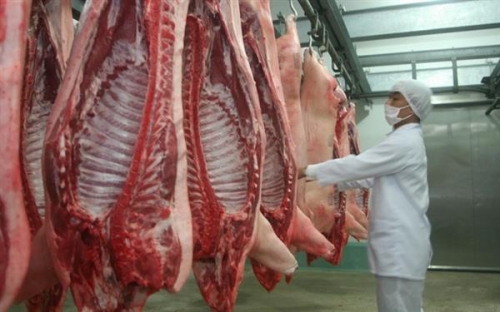 xuất khẩu được thịt lợn 