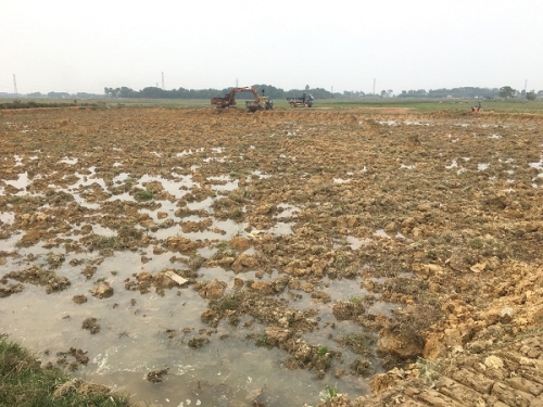 Hàng nghìn m³ đất được khai thác thuộc thôn Đô Trang, khiến bề mặt ruộng trở nên nham nhở