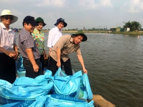 Lãnh đạo Bộ NN-PTNT và lãnh đạo tỉnh An Giang thăm vùng nuôi cá tra chất lượng cao của Công ty CP Nam Việt 
