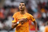 Thắng Qatar 2-0, Hà Lan lập kỳ tích chưa từng có trong lịch sử World Cup