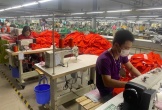 Nhiều doanh nghiệp dệt may ở Thanh Hóa 'ăn đong' từng đơn hàng