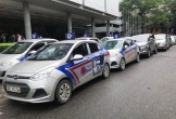 Các hãng taxi tung chính sách hẫp dẫn chiêu mộ tài xế góp xe, cạnh tranh với taxi điện của Vingroup