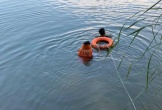 Hai nữ sinh lớp 7 đuối nước dưới hồ sâu