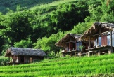 Khám phá Nậm Cang, SaPa