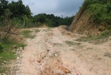Chính phủ chấp thuận làm đường 30a qua đất rừng phòng hộ ở Thanh Hóa