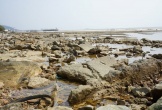 Xử lý 'bẫy' cọc sắt ở bãi biển Hải Tiến