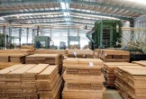 Doanh nghiệp 2 tháng tuổi chi 3.200 tỷ làm nhà máy sản xuất ván tre ở Thanh Hóa