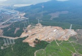 Thanh Hoá: Cần xem xét trách nhiệm tập thể, cá nhân để xảy ra việc tàn phá 2,61 ha rừng tự nhiên