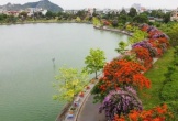 Con đường hoa đẹp như Hàn Quốc giữa TP Thanh Hóa