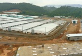 Trang trại lợn ở Thanh Hóa gây ô nhiễm môi trường