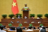 93% đại biểu Quốc hội tán thành thông qua chính sách đặc thù cho TP Đà Nẵng