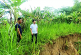 Hiểm họa sông “nuốt” làng