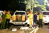Công an Thanh Hóa bắt ô tô chở gỗ trái phép