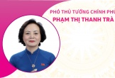 Phân công nhiệm vụ đối với Phó Thủ tướng Chính phủ Phạm Thị Thanh Trà