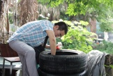 Ghi nhận 17 ca tử vong do sốt xuất huyết