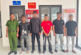 “Cáo đầu đen” sa lưới