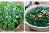 Rau ngót và những lợi ích bất ngờ cho sức khỏe