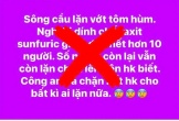 'Vỡ đập Đồng Cam', '10 người chết vì dính axit khi lặn vớt tôm hùm' là tin giả