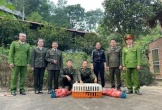 Người dân Thanh Hóa giao nộp nhiều cá thể động vật quý hiếm