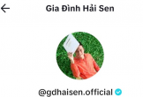 Chủ kênh TikTok 