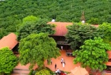 Trang trại rộng hàng chục ha của trùm giang hồ Vi “ngộ