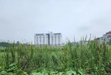 Thanh Hóa: Dự án Bệnh viện Mắt Bình Tâm 