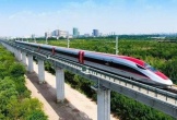 Kiểm kê, bồi thường tuyến đường sắt tốc độ cao qua Thanh Hóa