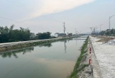 Truy tìm thủ phạm vứt xác lợn chết ra sông