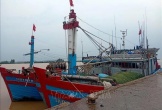 Ứng phó bão số 5: Thanh Hóa vẫn còn tàu thuyền đang hoạt động trên biển