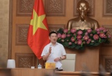 Phó Thủ tướng chỉ đạo về quản lý giá điện, xăng dầu