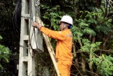 Tiền điện tăng gấp 8 lần vì nhà mạng viễn thông treo dây tín hiệu lên cột điện không đúng quy cách