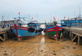 Thanh Hoá: Cảng cá bồi lắng, hạ tầng xuống cấp