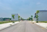 Thanh Hoá đưa 33 lô đất lên sàn, khởi điểm từ 10 triệu đồng/m2