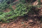 Thanh Hóa: Sạt lở trên Quốc lộ 217, đường lên các xã vùng cao bị tắc