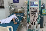 Ba em nhỏ bị ong tấn công, một bé tử vong thương tâm