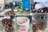 Thanh Hóa: Thu giữ gần 6 tấn thực phẩm bốc mùi hôi thối