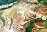 Lần đầu tổ chức giải leo ruộng bậc thang Mù Cang Chải