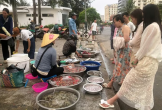 Chợ cá Sầm Sơn - Bản giao hưởng mặn mòi nơi cửa biển