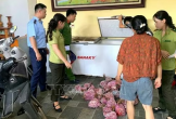 Thanh Hóa: Phát hiện, thu giữ 290 cá thể Cò hương cấp đông chờ tiêu thụ