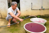 Tin mới vụ nước giếng khoan đổi màu tím bất thường ở Thanh Hóa