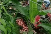Xe đầu kéo lao vào nhà dân, 1 người tử vong: Khoảnh khắc cuối cùng gây ám ảnh