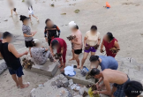 Truy tìm nhóm du khách bẻ san hô khi tắm biển Hòn Chồng - Nha Trang
