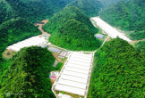 Tai nạn tại trang trại lợn ở Thanh Hóa làm 5 người t.ử v.o.n.g và 2 người bị thương